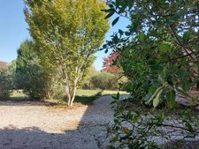Dpt Tarn et Garonne (82), à vendre MONTAUBAN maison P5 de 178,56 m² - Terrain de 2 187,00 m² avec piscine, garage et pool house