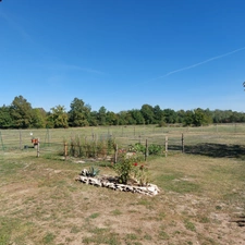Maison à vendre 5 pièces SAINT ETIENNE DE TULMONT (82) corps de ferme rénové avec dépendance sur environ 20000m² de terrain environ