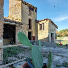 Maison à vendre 5 pièces SAINT ETIENNE DE TULMONT (82) corps de ferme rénové avec dépendance sur environ 20000m² de terrain environ