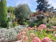Maison à vendre 7 pièces MONTAUBAN (82) avec chambres d'hôtes, piscine, jardin et dépendance.