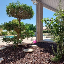 Maison à vendre 5 pièces CAMPSAS (82)avec garage attenant et double garage indépendant, piscine, terrasse couverte, puits, sur 2029m² de terrain.