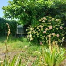 BEAUSOLEIL MONTAUBAN Ensemble immobilier comprenant une maison principale, un logement T2 attenant et une dépendance  sur 702m² de terrain