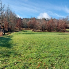 Maison à vendre 7 pièces MONTAUBAN (82) avec hangar de 150m², 6861m² de terrain avec une partie boisée.