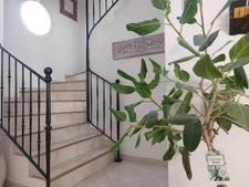 Maison à vendre 6 pièces MONTAUBAN (82) avec jardin, piscine, pool house et sous sol complet de plus de 150m²