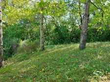 Dpt Tarn et Garonne (82), à vendre MONTAUBAN maison P5 de 178,56 m² - Terrain de 2 187,00 m² avec piscine, garage et pool house