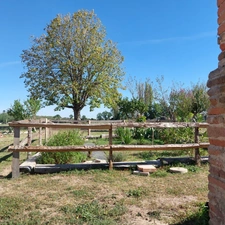 Maison à vendre 5 pièces SAINT ETIENNE DE TULMONT (82) corps de ferme rénové avec dépendance sur environ 20000m² de terrain environ