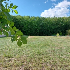 Terrain à vendre de 1 032,00 m² MONTAUBAN (82) secteur Saint Martial
