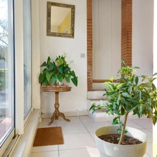 Maison à vendre 7 pièces MONTAUBAN (82) avec hangar de 150m², 6861m² de terrain avec une partie boisée.