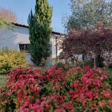 Dpt Tarn et Garonne (82), à vendre MONTAUBAN maison P7 de 216 m² - Terrain de 7 640,00 m² - Plain pied