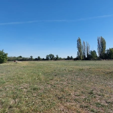 Maison à vendre 5 pièces SAINT ETIENNE DE TULMONT (82) corps de ferme rénové avec dépendance sur environ 20000m² de terrain environ