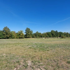 Maison à vendre 5 pièces SAINT ETIENNE DE TULMONT (82) corps de ferme rénové avec dépendance sur environ 20000m² de terrain environ