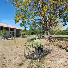 Maison à vendre 5 pièces SAINT ETIENNE DE TULMONT (82) corps de ferme rénové avec dépendance sur environ 20000m² de terrain environ