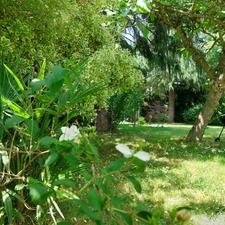 Maison à vendre 6 pièces MONTAUBAN (82) avec jardin, puits, dependances et garage
