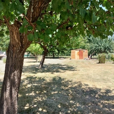 Maison à vendre 5 pièces CAMPSAS (82)avec garage attenant et double garage indépendant, piscine, terrasse couverte, puits, sur 2029m² de terrain.