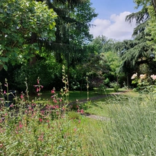 Maison à vendre 6 pièces MONTAUBAN (82) avec jardin, puits, dependances et garage