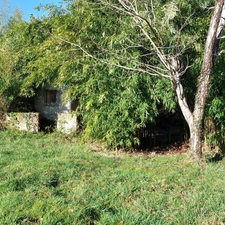 Maison à vendre 7 pièces MONTAUBAN (82) avec hangar de 150m², 6861m² de terrain avec une partie boisée.