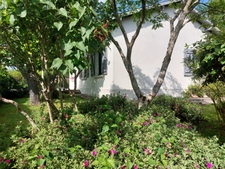 Maison à vendre 5 pièces MONTAUBAN (82)Maison d’exception dans le très prisé quartier Saint MIchel avec jardin et garage