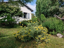 Maison à vendre 5 pièces MONTAUBAN (82)Maison d’exception dans le très prisé quartier Saint MIchel avec jardin et garage