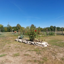 Maison à vendre 5 pièces SAINT ETIENNE DE TULMONT (82) corps de ferme rénové avec dépendance sur environ 20000m² de terrain environ