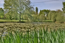 House for sale, 12 rooms, CHANGE (53)