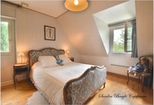 Propriété à vendre 12 pièces BALAZE (35)