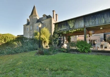 Demeure de caractère à vendre 9 pièces SOULGE SUR OUETTE (53)