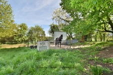 House for sale, 12 rooms, CHANGE (53)