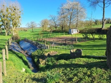 Terrain avce étang à MONTIGNE LE BRILLANT (53)