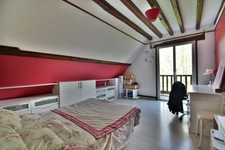 House for sale, 12 rooms, CHANGE (53)
