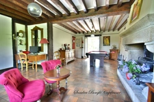 House for sale, 12 rooms, CHANGE (53)