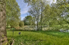 House for sale, 12 rooms, CHANGE (53)