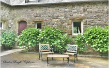 Propriété à vendre 12 pièces BALAZE (35)