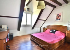 House for sale, 12 rooms, CHANGE (53)