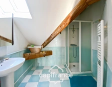 Maison Briarde de 256 m2 avec cachet et travaux – 7 chambres - Jardin