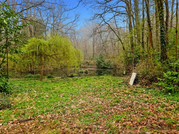 Au cœur de la nature, propriété d’exception 13 hectares avec étang privé, maison chaleureuse de 133 m², 3 chambres, cheminée et poêle : un havre de paix à LA FERTE SOUS JOUARRE (77)