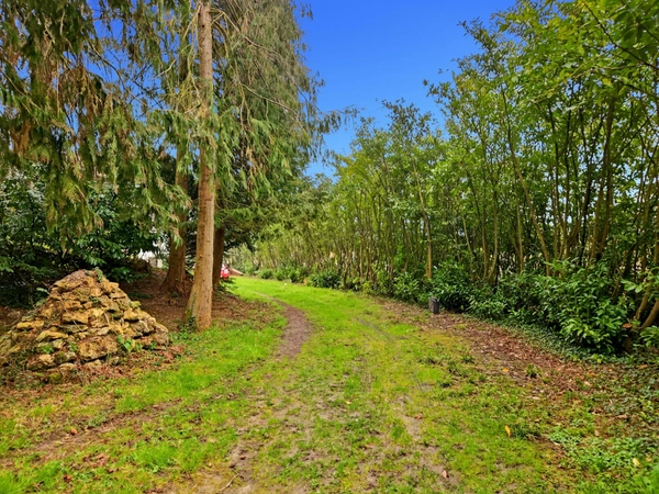 Au cœur de la nature, propriété d’exception 13 hectares avec étang privé, maison chaleureuse de 133 m², 3 chambres, cheminée et poêle : un havre de paix à LA FERTE SOUS JOUARRE (77)