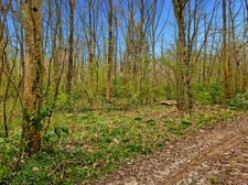 Au cœur de la nature, propriété d’exception 13 hectares avec étang privé, maison chaleureuse de 133 m², 3 chambres, cheminée et poêle : un havre de paix à LA FERTE SOUS JOUARRE (77)