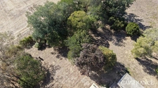 Maison de maître sur un terrain de plus de 3 000 m²