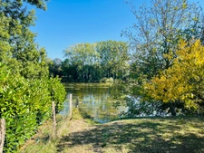 Terrain à vendre * Au bord de la Vienne * Un Véritable Havre de Paix * Terrain Arboré de 1 269 m²  CHAUVIGNY (86)