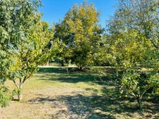 Terrain à vendre * Au bord de la Vienne * Un Véritable Havre de Paix * Terrain Arboré de 1 269 m²  CHAUVIGNY (86)