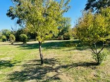 Terrain à vendre * Au bord de la Vienne * Un Véritable Havre de Paix * Terrain Arboré de 1 269 m²  CHAUVIGNY (86)