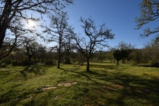 Propriete à vendre 8 pièces CREGOLS (46)