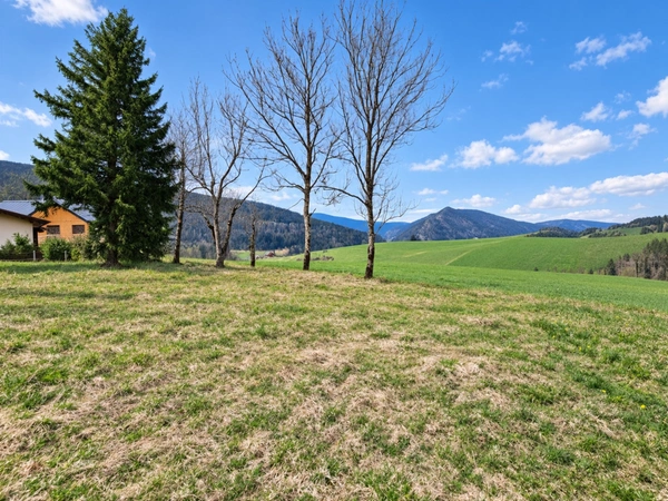Terrain à vendre  VILLARD DE LANS (38)