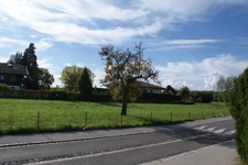 Terrain à vendre  JUVIGNY (74)