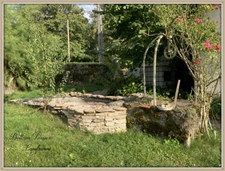 Family home to renovate with a large wooded lot