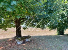 Maison à vendre 10 pièces BONNEVILLE ET SAINT AVIT DE F (24)