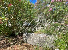 Maison à vendre 10 pièces BONNEVILLE ET SAINT AVIT DE F (24)