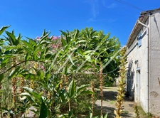 Maison à vendre 10 pièces BONNEVILLE ET SAINT AVIT DE F (24)