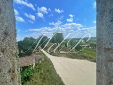 Propriété à vendre 10 pièces - Superbe vue