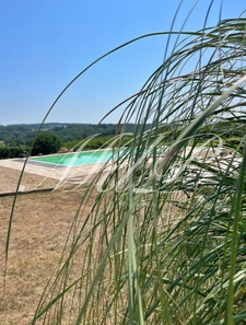 Longère avec vue fantastique  (33)